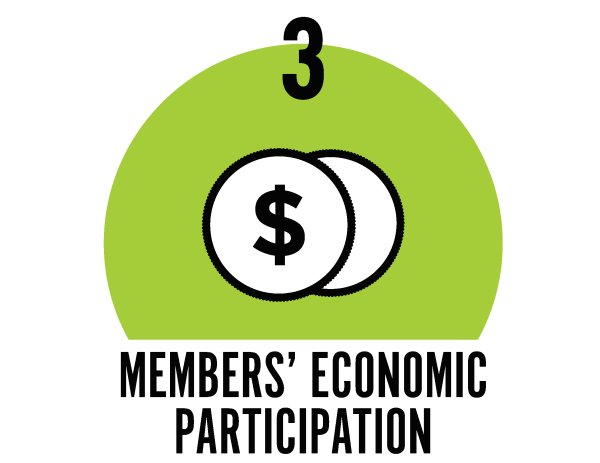Members Economic Participation