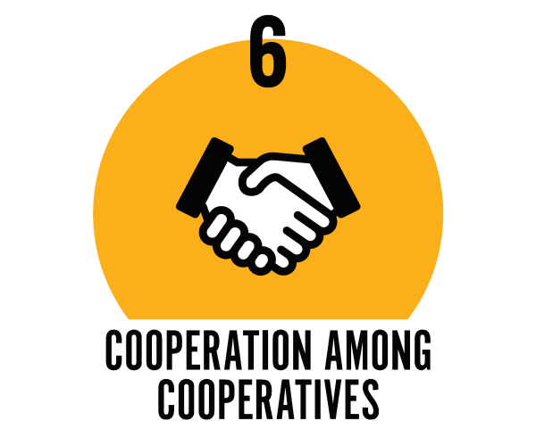 Cooperation Among Cooperatives