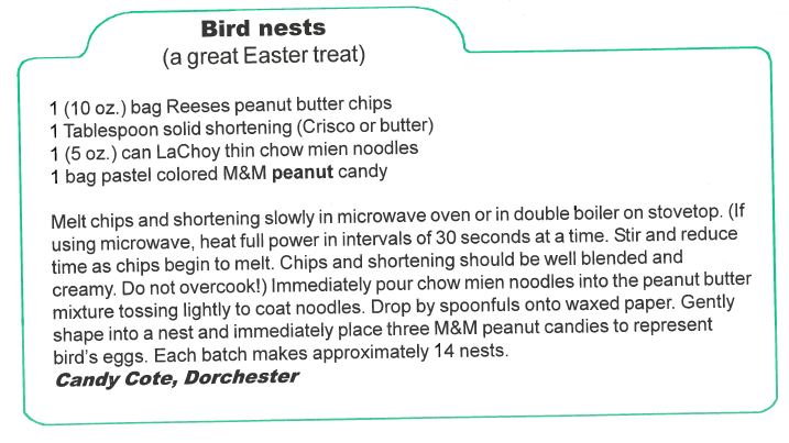 Bird Nests