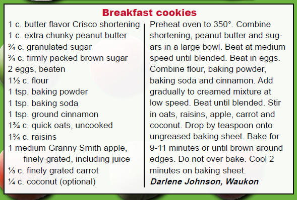 Breakfast Cookies