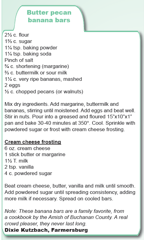 Butter Pecan Banana Bars