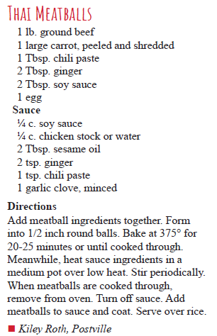 Thai Meatballs