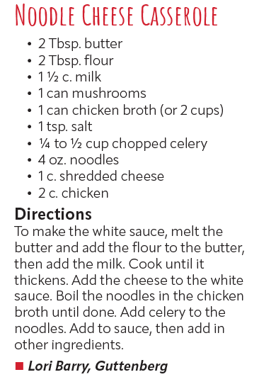 Noodle Cheese Casserole