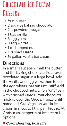 Chocolate Ice Cream Dessert