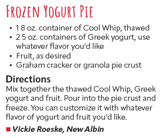 Frozen Yogurt Pies