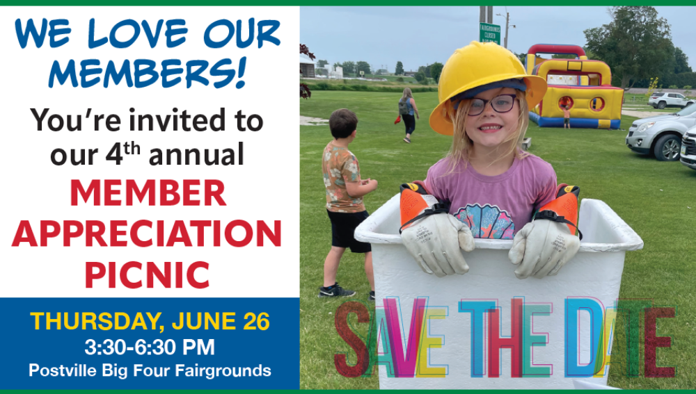 Picnic Save the Date