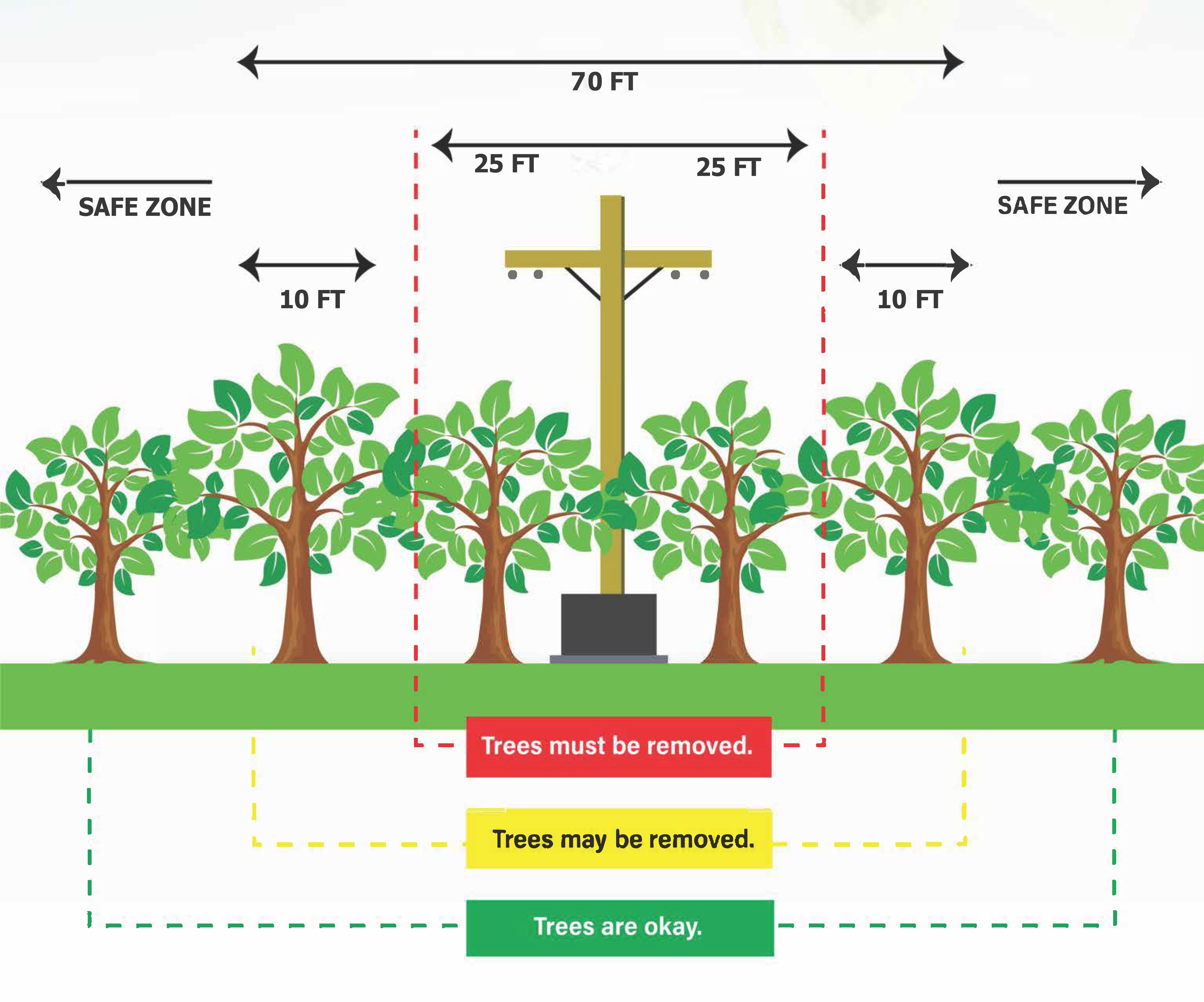 How Far to Remove Trees?