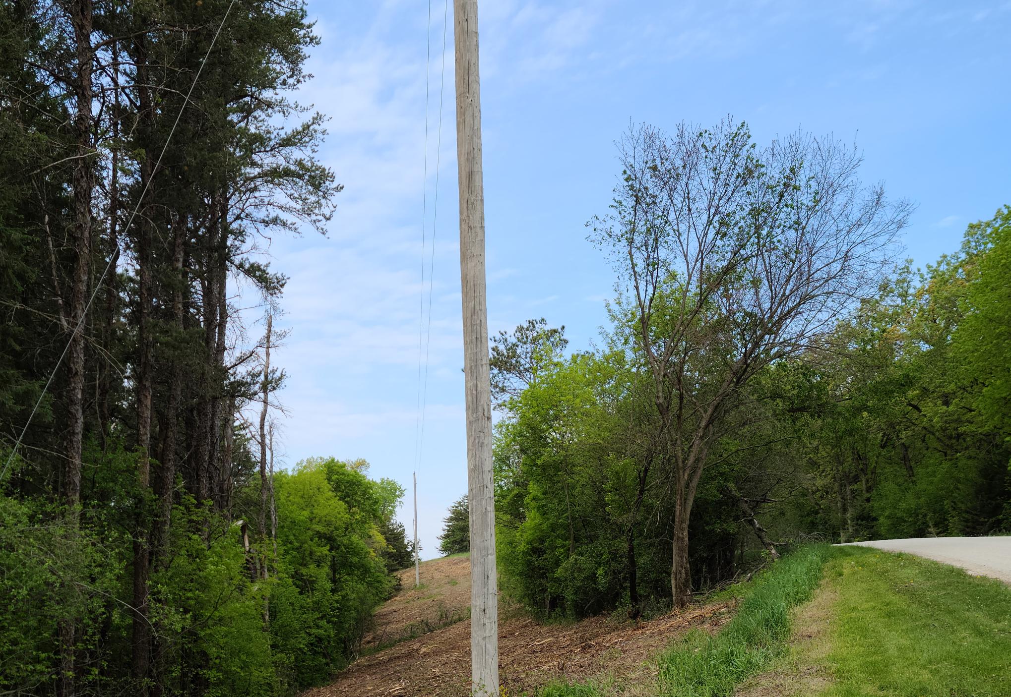 Vegetation Management